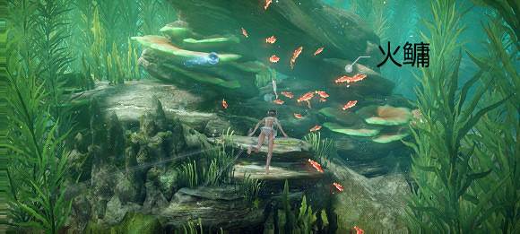 《天諭手遊》魚類圖鑒大全 綠藻花園魚類位置介紹 《天諭手遊》魚類圖鑒大全 綠藻花園魚類位置介紹