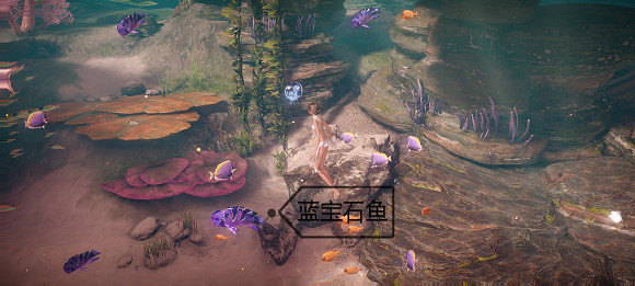 《天諭手遊》魚類圖鑒大全 珊瑚海魚類介紹 《天諭手遊》魚類圖鑒大全 珊瑚海魚類介紹