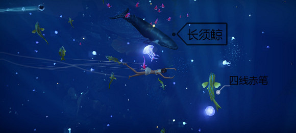 《天諭手遊》魚類圖鑒大全 幽光鯨落魚類位置介紹 《天諭手遊》魚類圖鑒大全 幽光鯨落魚類位置介紹