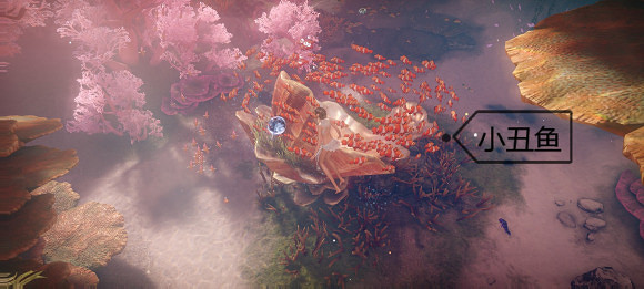 《天諭手遊》魚類圖鑒大全 珊瑚海魚類介紹 《天諭手遊》魚類圖鑒大全 珊瑚海魚類介紹