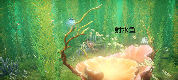 《天諭手遊》魚類圖鑒大全 綠藻花園魚類位置介紹 《天諭手遊》魚類圖鑒大全 綠藻花園魚類位置介紹