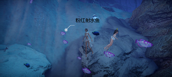 《天諭手遊》魚類圖鑒大全 珊瑚海魚類介紹 《天諭手遊》魚類圖鑒大全 珊瑚海魚類介紹