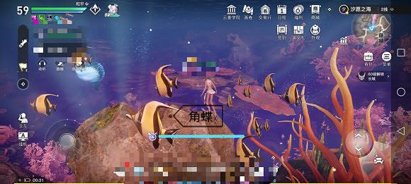 《天諭手遊》魚類圖鑒大全 珊瑚海魚類介紹 《天諭手遊》魚類圖鑒大全 珊瑚海魚類介紹