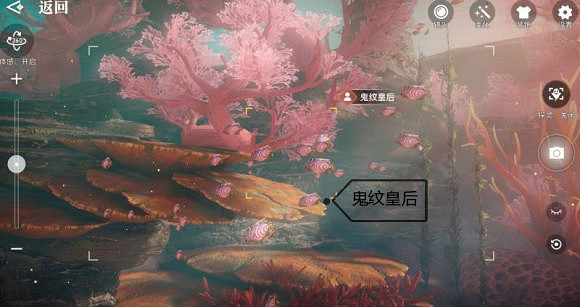 《天諭手遊》魚類圖鑒大全 珊瑚海魚類介紹 《天諭手遊》魚類圖鑒大全 珊瑚海魚類介紹