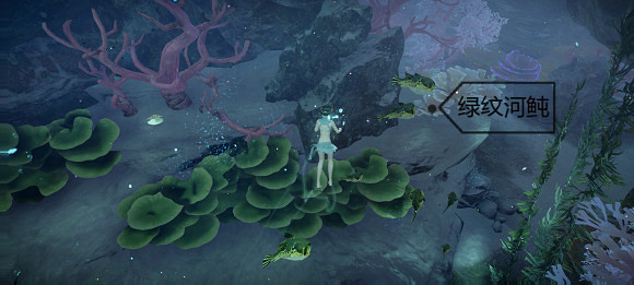 《天諭手遊》魚類圖鑒大全 珊瑚海魚類介紹 《天諭手遊》魚類圖鑒大全 珊瑚海魚類介紹
