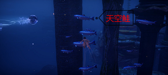 《天諭手遊》魚類圖鑒大全 深海遺跡水母之森魚類位置介紹 《天諭手遊》魚類圖鑒大全 深海遺跡水母之森魚類位置介紹