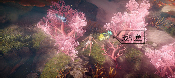 《天諭手遊》魚類圖鑒大全 珊瑚海魚類介紹 《天諭手遊》魚類圖鑒大全 珊瑚海魚類介紹