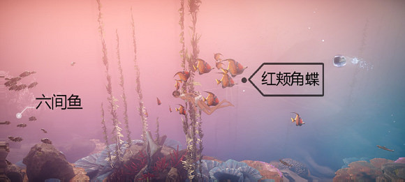 《天諭手遊》魚類圖鑒大全 珊瑚海魚類介紹 《天諭手遊》魚類圖鑒大全 珊瑚海魚類介紹