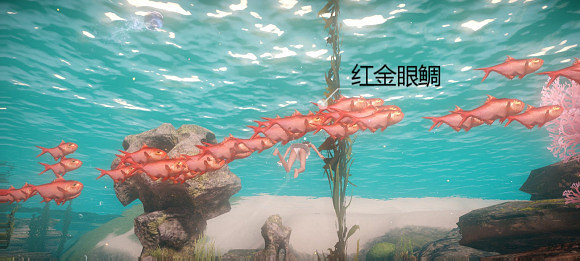 《天諭手遊》魚類圖鑒大全 珊瑚海魚類介紹 《天諭手遊》魚類圖鑒大全 珊瑚海魚類介紹