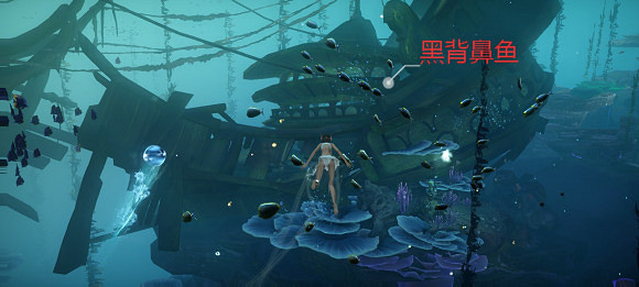 《天諭手遊》魚類圖鑒大全 沉船附近魚類位置一覽 《天諭手遊》魚類圖鑒大全 沉船附近魚類位置一覽