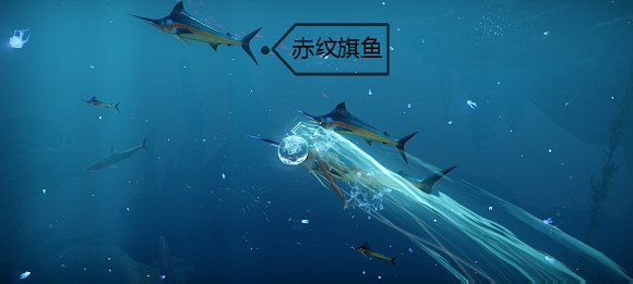 《天諭手遊》魚類圖鑒大全 幽光鯨落魚類位置介紹 《天諭手遊》魚類圖鑒大全 幽光鯨落魚類位置介紹