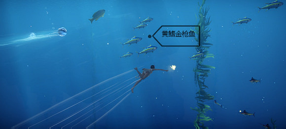 《天諭手遊》魚類圖鑒大全 幽光鯨落魚類位置介紹 《天諭手遊》魚類圖鑒大全 幽光鯨落魚類位置介紹