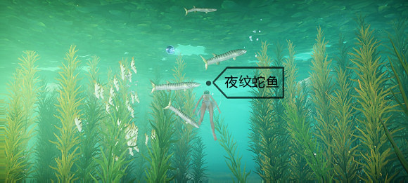 《天諭手遊》魚類圖鑒大全 綠藻花園魚類位置介紹 《天諭手遊》魚類圖鑒大全 綠藻花園魚類位置介紹