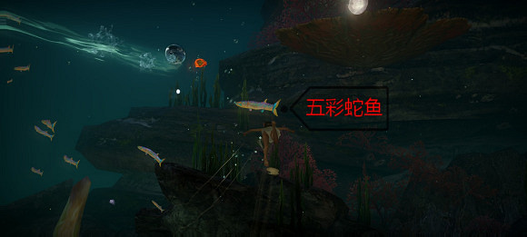 《天諭手遊》魚類圖鑒大全 幽光鯨落魚類位置介紹 《天諭手遊》魚類圖鑒大全 幽光鯨落魚類位置介紹