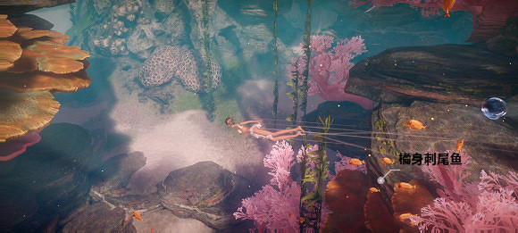 《天諭手遊》魚類圖鑒大全 珊瑚海魚類介紹 《天諭手遊》魚類圖鑒大全 珊瑚海魚類介紹