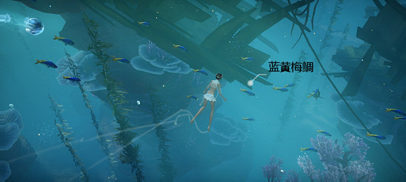 《天諭手遊》魚類圖鑒大全 沉船附近魚類位置一覽 《天諭手遊》魚類圖鑒大全 沉船附近魚類位置一覽