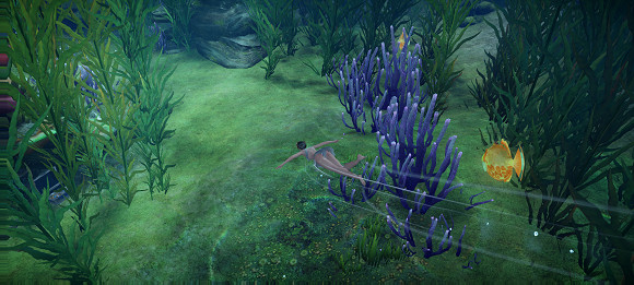 《天諭手遊》魚類圖鑒大全 綠藻花園魚類位置介紹 《天諭手遊》魚類圖鑒大全 綠藻花園魚類位置介紹