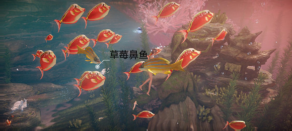 《天諭手遊》魚類圖鑒大全 珊瑚海魚類介紹 《天諭手遊》魚類圖鑒大全 珊瑚海魚類介紹