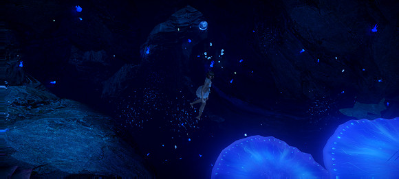 《天諭手遊》魚類圖鑒大全 深海遺跡水母之森魚類位置介紹 《天諭手遊》魚類圖鑒大全 深海遺跡水母之森魚類位置介紹