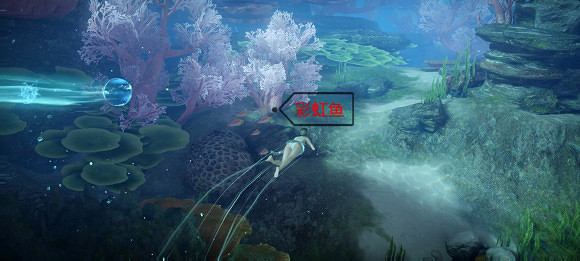 《天諭手遊》魚類圖鑒大全 珊瑚海魚類介紹 《天諭手遊》魚類圖鑒大全 珊瑚海魚類介紹