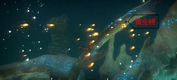 《天諭手遊》魚類圖鑒大全 幽光鯨落魚類位置介紹 《天諭手遊》魚類圖鑒大全 幽光鯨落魚類位置介紹