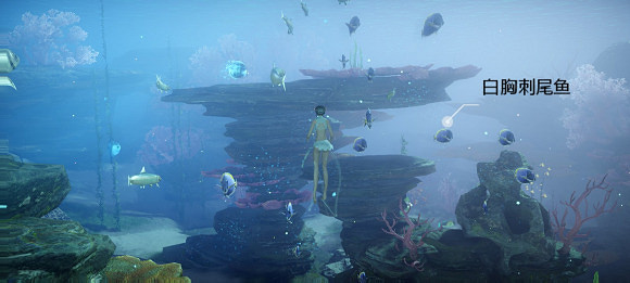 《天諭手遊》魚類圖鑒大全 珊瑚海魚類介紹 《天諭手遊》魚類圖鑒大全 珊瑚海魚類介紹