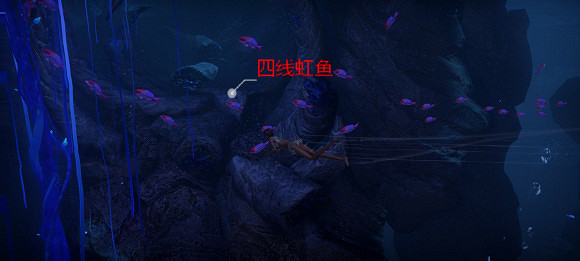 《天諭手遊》魚類圖鑒大全 深海遺跡水母之森魚類位置介紹 《天諭手遊》魚類圖鑒大全 深海遺跡水母之森魚類位置介紹