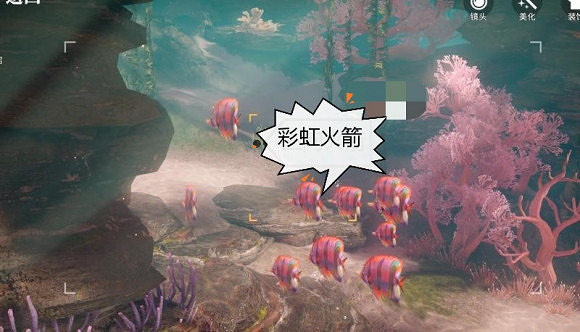 《天諭手遊》魚類圖鑒大全 珊瑚海魚類介紹 《天諭手遊》魚類圖鑒大全 珊瑚海魚類介紹