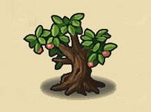 《地下城物語》狩獵大賽迷宮彩蛋一覽 狩獵大賽迷宮彩蛋彙總