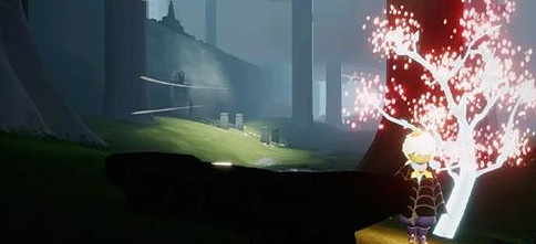 《光遇》在雨林賞一會花任務怎麽做 在雨林賞一會花任務攻略