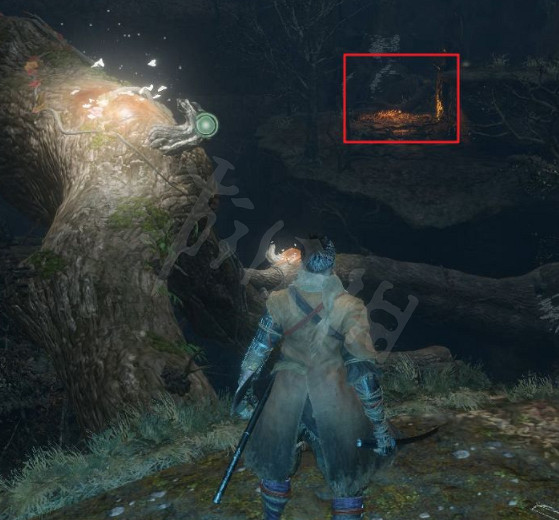 《隻狼》水生村怎麽去?水生村到達方法分享 《隻狼》水生村怎麽去?水生村到達方法分享