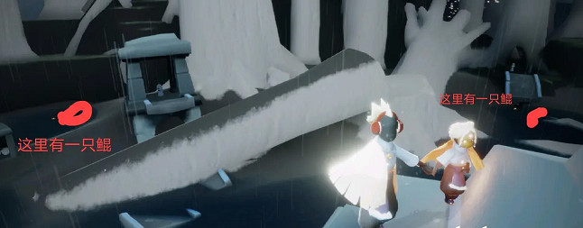 《光遇》3.24任務攻略 3月24日每日任務怎麽做