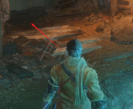 《隻狼》水生村怎麽去?水生村到達方法分享 《隻狼》水生村怎麽去?水生村到達方法分享