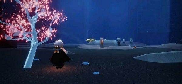 《光遇》在禁閣賞一會花任務怎麽做 在禁閣賞一會花任務攻略