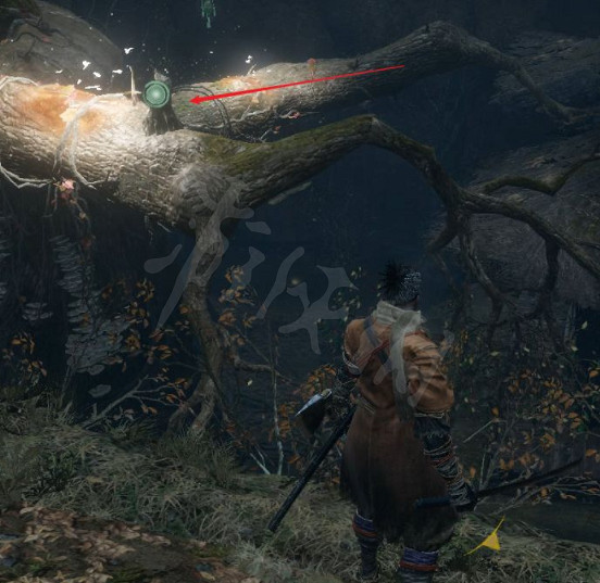 《隻狼》水生村怎麽去?水生村到達方法分享 《隻狼》水生村怎麽去?水生村到達方法分享