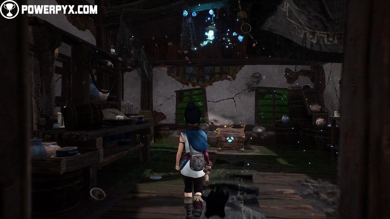 《奇納靈魂之橋》太郎的樹物品分布位置彙總 太郎的樹收集品有哪些？