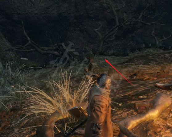 《隻狼》水生村怎麽去?水生村到達方法分享 《隻狼》水生村怎麽去?水生村到達方法分享