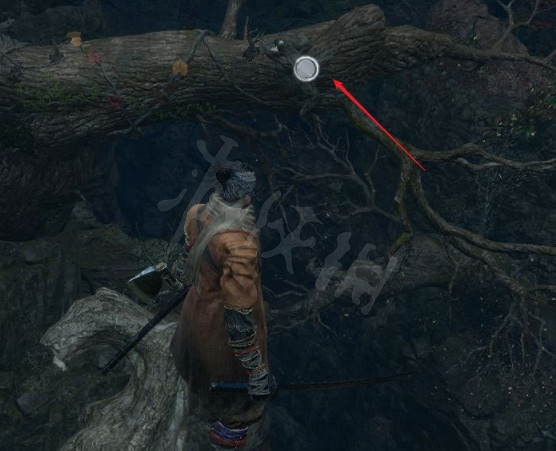 《隻狼》水生村怎麽去?水生村到達方法分享 《隻狼》水生村怎麽去?水生村到達方法分享