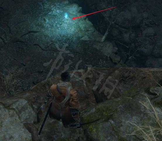 《隻狼》水生村怎麽去?水生村到達方法分享 《隻狼》水生村怎麽去?水生村到達方法分享