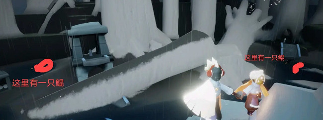 《光遇》1.15每日任務攻略 1月15日每日任務怎麽做 《光遇》1.15每日任務攻略 1月15日每日任務怎麽做