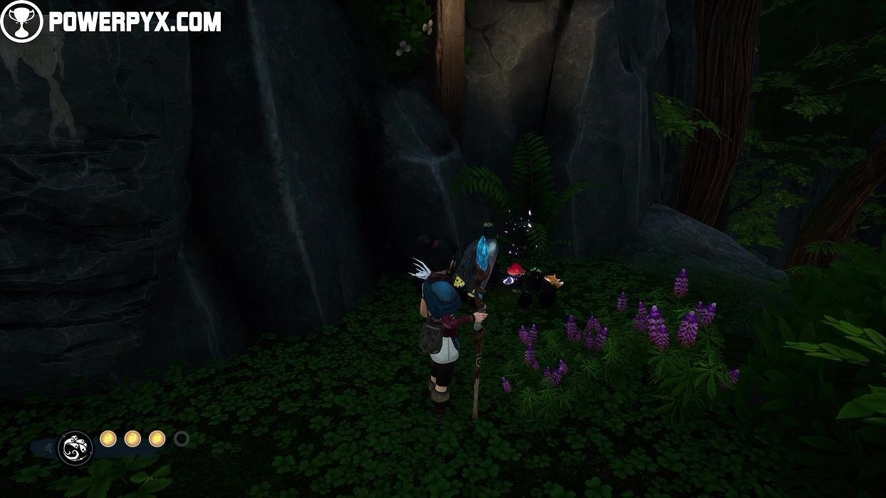 《奇納靈魂之橋》太郎的樹物品分布位置彙總 太郎的樹收集品有哪些？