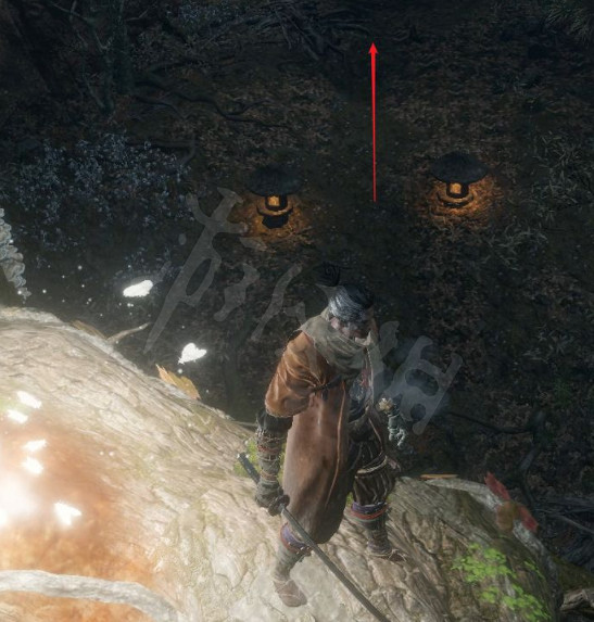 《隻狼》水生村怎麽去?水生村到達方法分享 《隻狼》水生村怎麽去?水生村到達方法分享