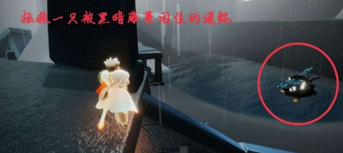 《光遇》5.11任務攻略 5月11日每日任務怎麽做