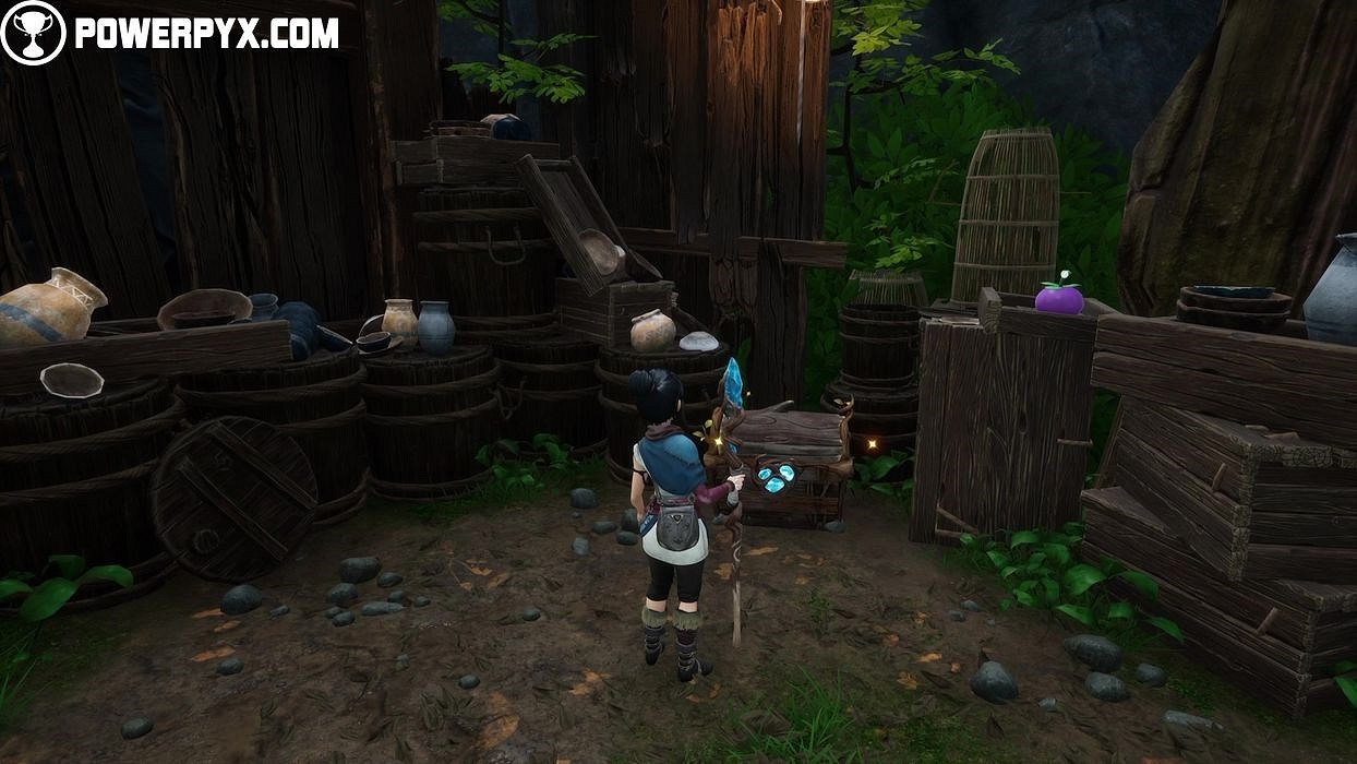 《奇納靈魂之橋》太郎的樹物品分布位置彙總 太郎的樹收集品有哪些？