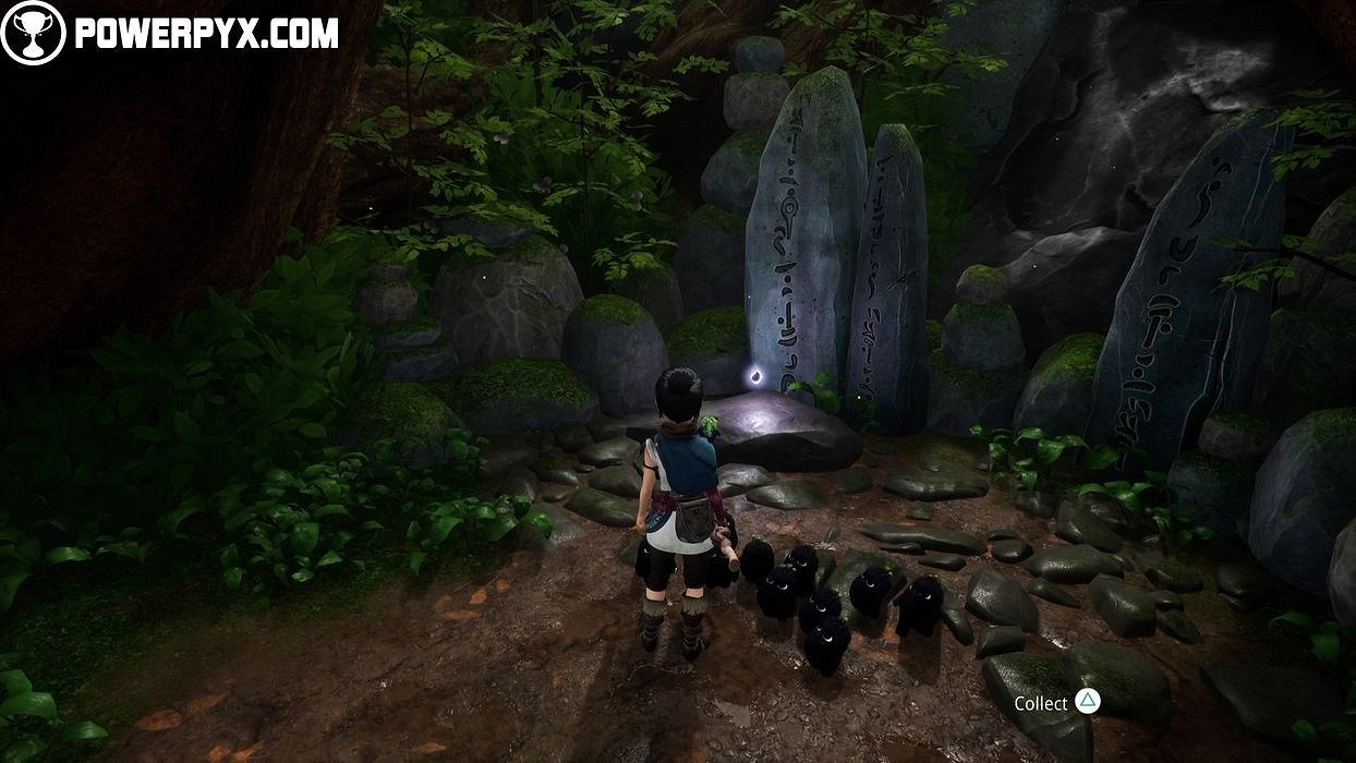 《奇納靈魂之橋》太郎的樹物品分布位置彙總 太郎的樹收集品有哪些？