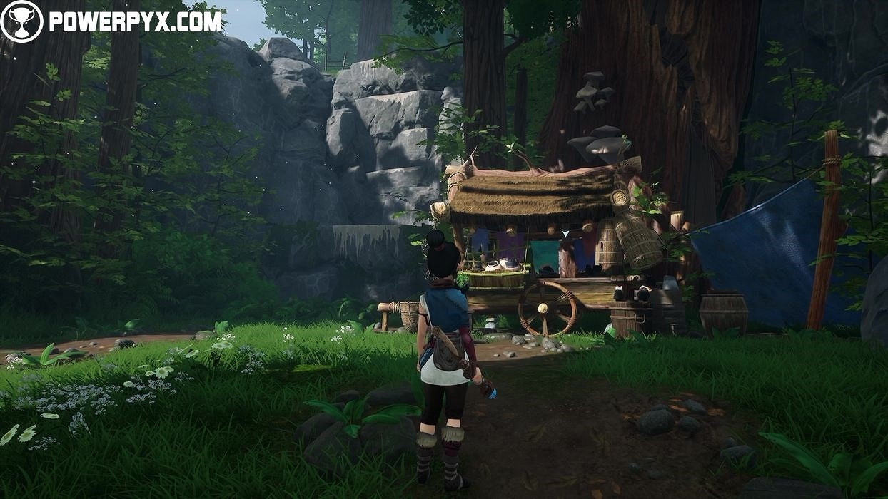 《奇納靈魂之橋》太郎的樹物品分布位置彙總 太郎的樹收集品有哪些？