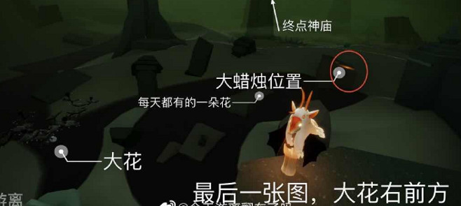 《光遇》1月25日大蠟燭在哪 1.25大蠟燭地點位置