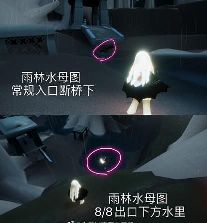 《光遇》1.10每日任務攻略 1月10日每日任務怎麽做 《光遇》1.10每日任務攻略 1月10日每日任務怎麽做