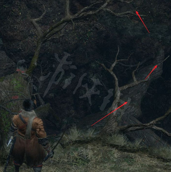 《隻狼》水生村怎麽去?水生村到達方法分享 《隻狼》水生村怎麽去?水生村到達方法分享