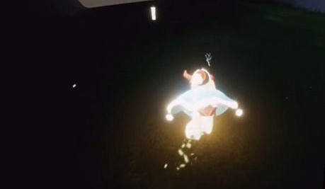 《光遇》在雨林賞一會花任務怎麽做 在雨林賞一會花任務攻略